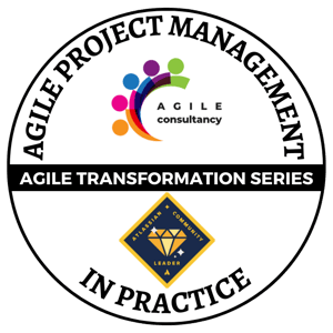 01 AGILE PROJECT MANAGEMENT IN PRACTICE