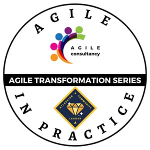 AGILE IN PRACTICE
