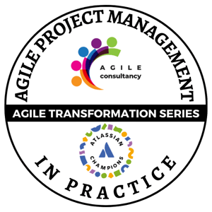 AGILE PROJECT MANAGEMENT IN PRACTICE