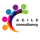 Agile Consultancy